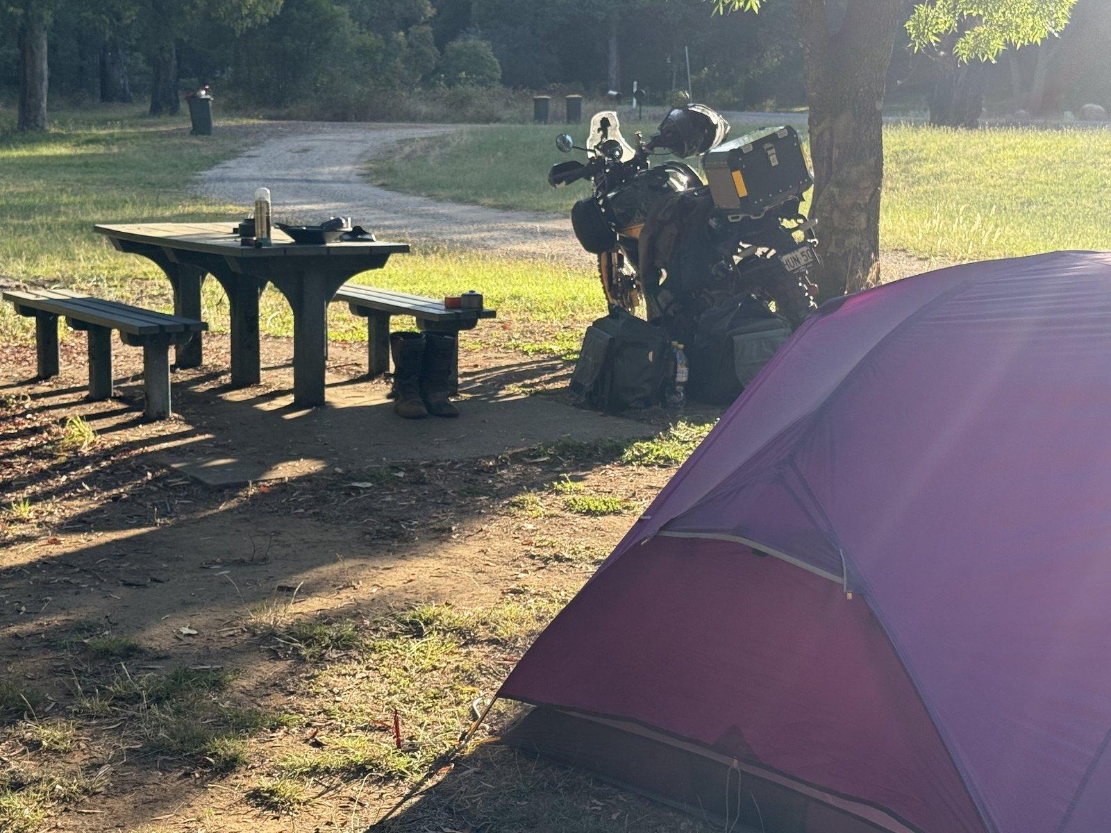 Stacey's Bridge in the morning — purple tent on the right, picnic table and Hunter parked under a tree, sun coming through