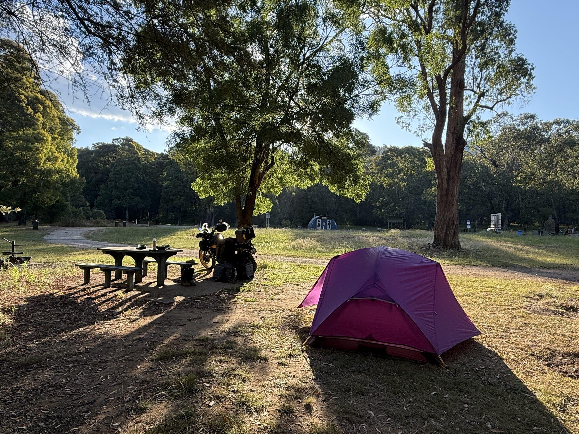Stacey's Bridge — purple tent under the willow, Hunter parked by the picnic table, long golden shadows