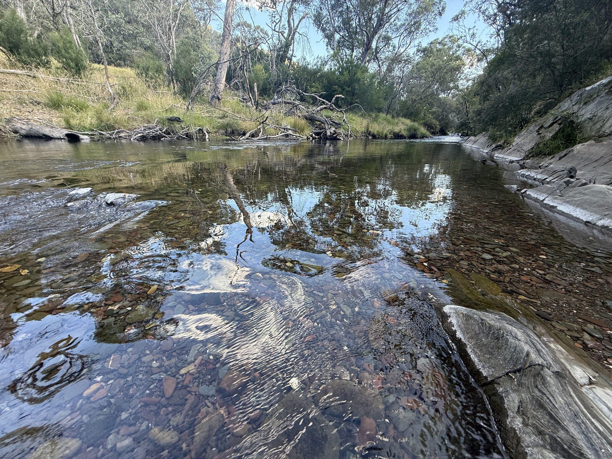 Wheeler Creek bed — clear water over coloured stones, reflections of gum trees and sky