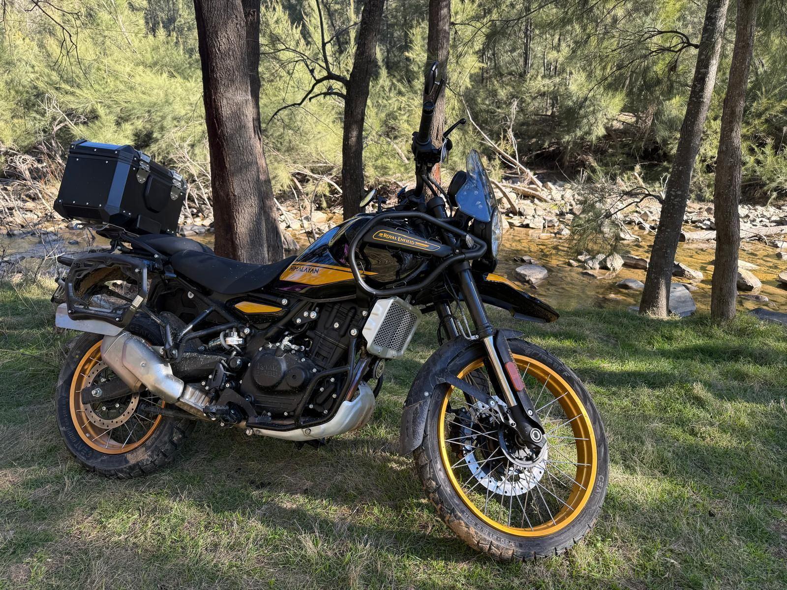 Hunter side-on by the Turon, gold rims in the late light