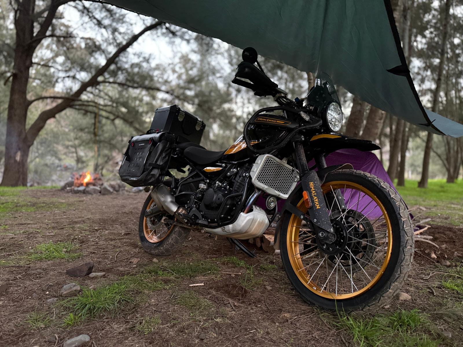 Hill End · Bridle Track camp — purple tent, green tarp, fire to the left